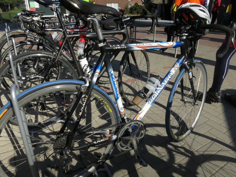 RTF Almabtrieb 219